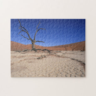 Puzzle Dead Vlei, Sossusvlei, Parc national de Namib-Nauk