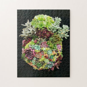 Puzzle Decorative Succulents