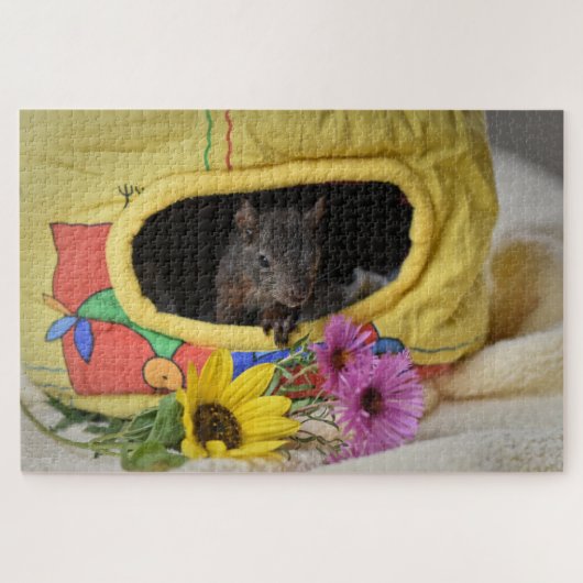 puzzle d'écureuil (Horizontal)