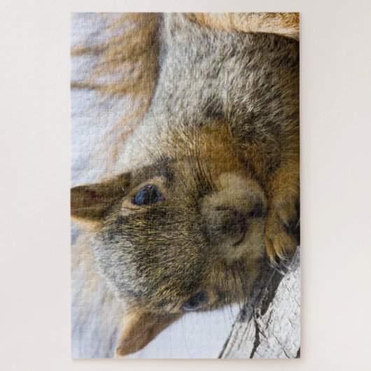 puzzle d'écureuil (Vertical)