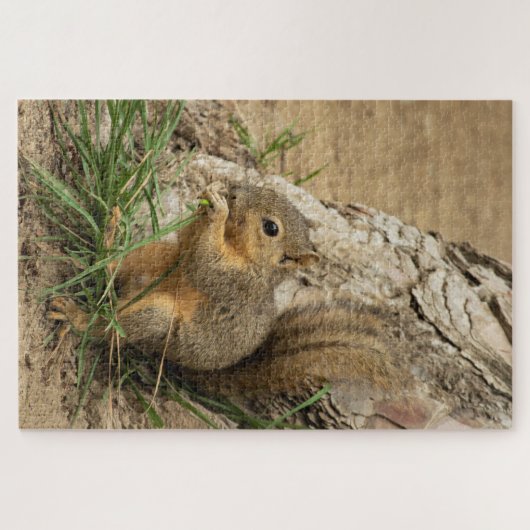 Puzzle d'écureuil difficile (Horizontal)