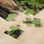 Puzzle d'écureuil gris (Côté)