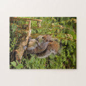 Puzzle d'écureuil gris (Horizontal)
