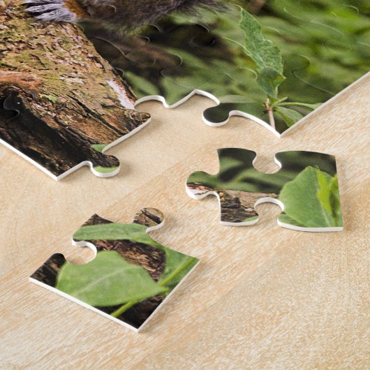 Puzzle d'écureuil gris avec Tin (Côté)