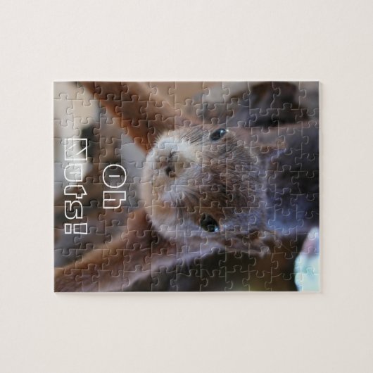 Puzzle d'écureuils (Horizontal)