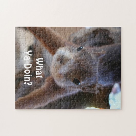 Puzzle d'écureuils (Horizontal)