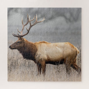 Puzzle Deer Stag Animaux Faune Nature Buck