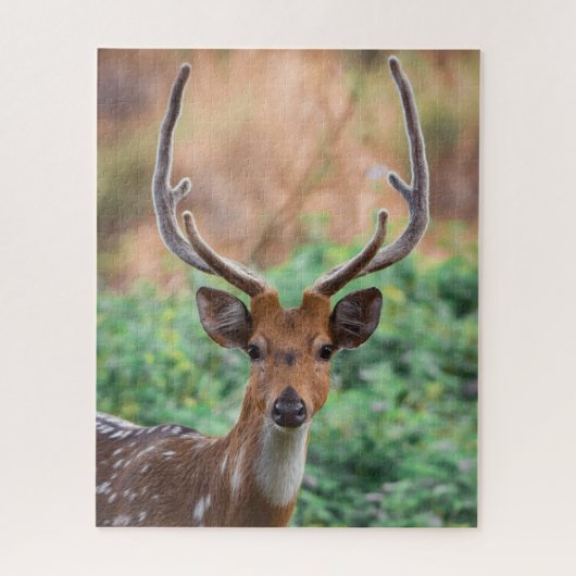 Puzzle Deer Stag Antlers Forêt Faune (Vertical)