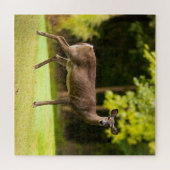 Puzzle Deer sur le terrain de golf (Horizontal)