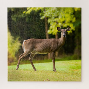 Puzzle Deer sur le terrain de golf