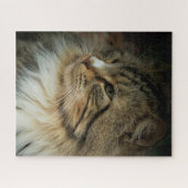 Puzzle Défendre le chat forestier norvégien (Horizontal)