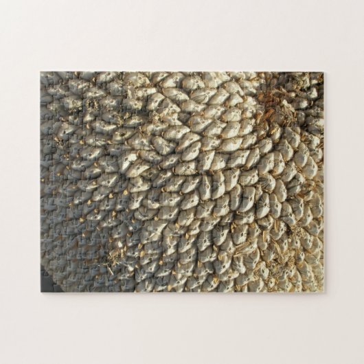 Puzzle - Défi tournesol (Horizontal)