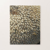 Puzzle - Défi tournesol (Vertical)