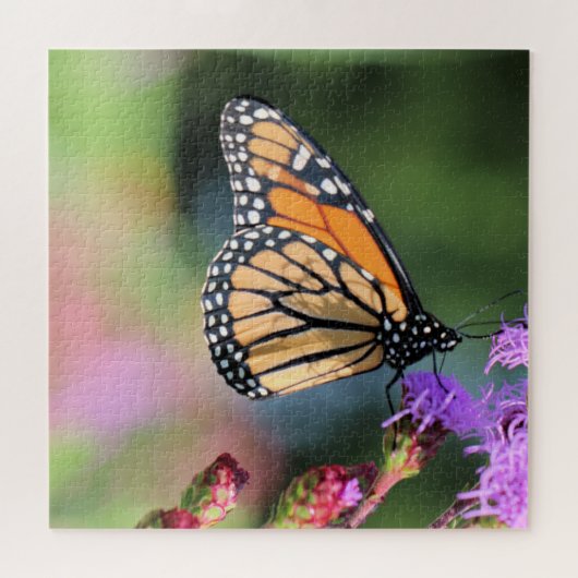 Puzzle Déjeuner monarque (Horizontal)