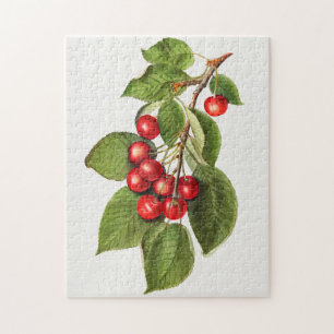 Puzzle Délicieux cerises rouges Fruit aquarelle peinture