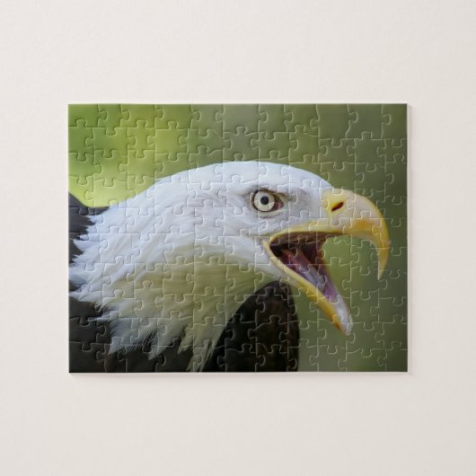Puzzle denteux chauve d'Eagle (Horizontal)