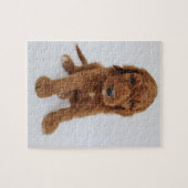 Puzzle denteux de chiot de Goldendoodle (Horizontal)