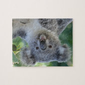 Puzzle denteux de koala mignon (Horizontal)