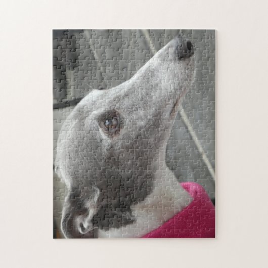 Puzzle denteux de lévrier (Vertical)