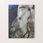 Puzzle denteux de lévrier (Vertical)