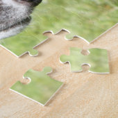 Puzzle denteux de lévrier (p498) (Côté)