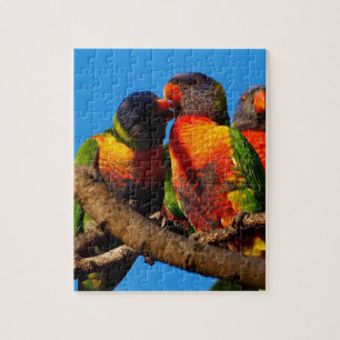 Puzzle denteux de Lorikeet d'arc-en-ciel