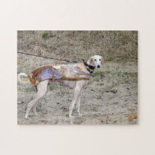 Puzzle denteux de Lurcher