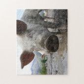 Puzzle denteux de porc (Vertical)