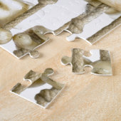 Puzzle Dentiste de dents extrait par photographie (Côté)