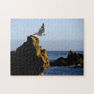 Puzzle Départ de Seagull