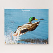 Puzzle Départs de Mallard Ducks (Horizontal)