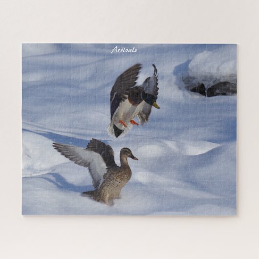 Puzzle Départs de Mallard Ducks (Horizontal)