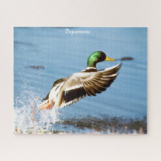 Puzzle Départs des Canards Colverts (Horizontal)