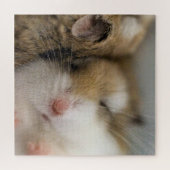 Puzzle Déplacer vers Bob (Horizontal)