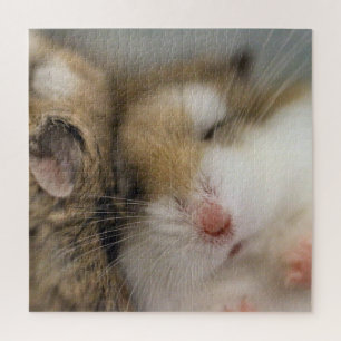 Puzzle Déplacer vers Bob