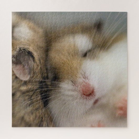 Puzzle Déplacer vers Bob (Vertical)