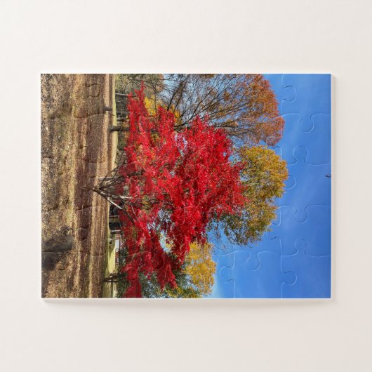 Puzzle d'érable japonais (Horizontal)