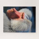 Puzzle Des babouins. (Horizontal)