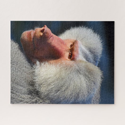 Puzzle Des babouins. (Horizontal)