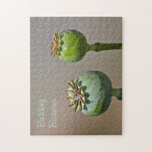 Puzzle des Beautés (Vertical)