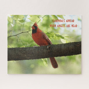 Puzzle Des cardinaux apparaissent quand les anges sont pr
