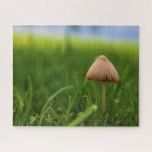 Puzzle des champignons très difficile