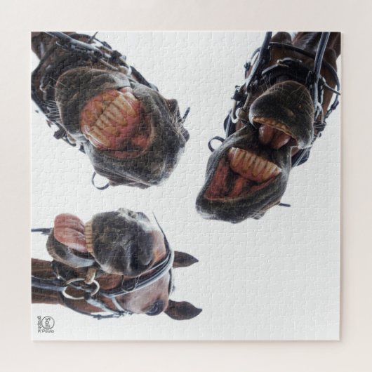 Puzzle Des chevaux dans la bouche. 3 chevaux souriant, hu (Horizontal)
