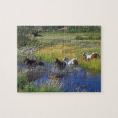 Puzzle des Chevaux sauvages (Horizontal)