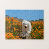 Puzzle des cocotiers (Horizontal)