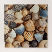 Puzzle des coquillages balnéaires (Horizontal)