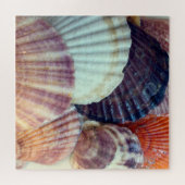 Puzzle des coquilles (Horizontal)