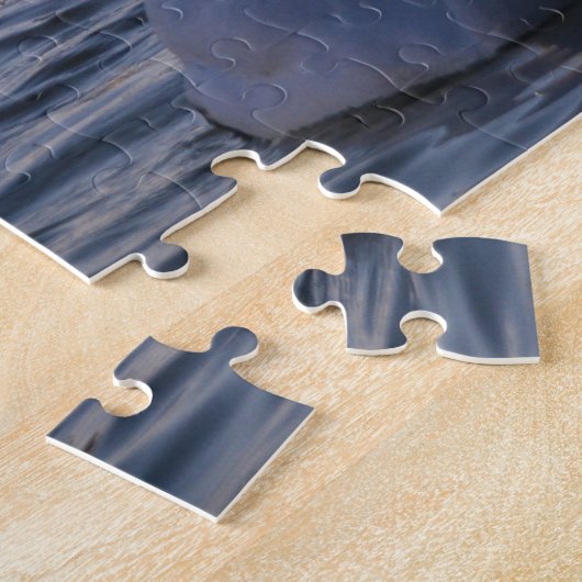 Puzzle des cygnes (Côté)