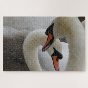 Puzzle des cygnes blancs