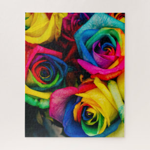 Puzzle des défis Roses arc-en-ciel 16" x 20"